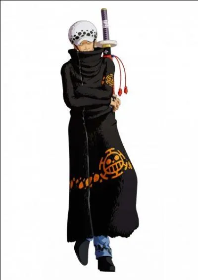 Quel est ce personnage et quel fruit du démon a-t-il mangé ?