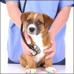 Quelles matières faut-il travailler ?