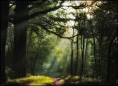 Qui a dit : On juge l'arbre à ses fruits. ?