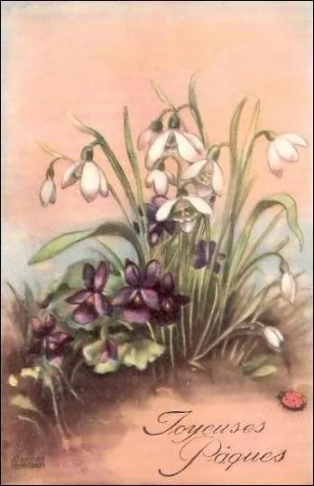 Que sont les fleurs blanches ?