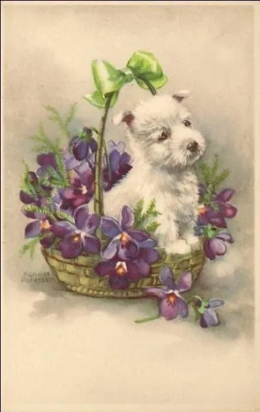 Que voit-on sur cette image ?