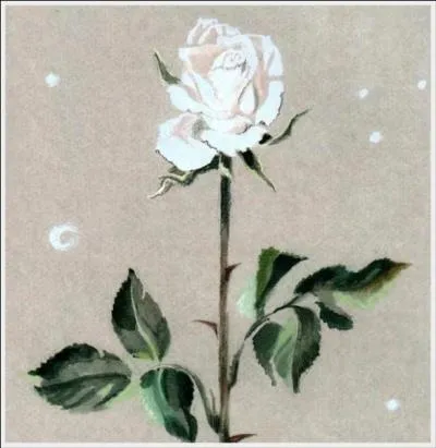 Au petit Prince qui s'inquiétait, que répondit sa rose ?