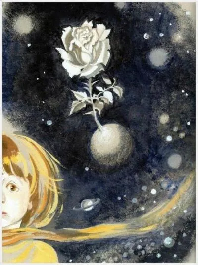 Comment était la planète d'où venait le Petit Prince ?