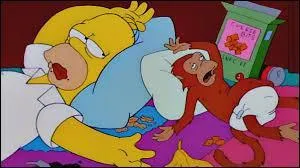 Quel est le nom de ce singe ?