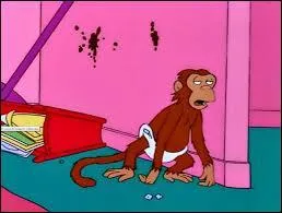 Où le singe finit-il ?