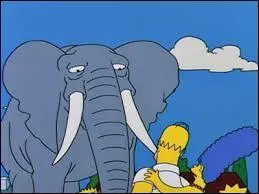 Au Québec, comment cet animal est-il appelé ?