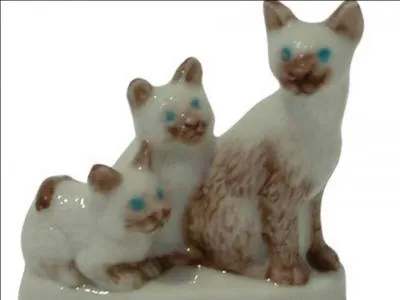 Ce sont des chats...