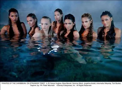 Vieux marin, recherche :