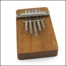 Quel est le nom de cet instrument ?