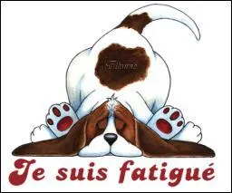 Que font les verbes "voir, acquérir, pouvoir, mourir" au futur ?