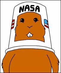 Comment le hamster d'Homer s'appelle-t-il ?