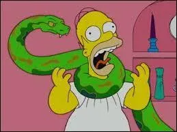 Quel personnage a acheté un python ?