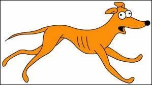 Quel animal le serpent a-t-il remplacé ?