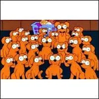 Combien de petits a-t-elle ?