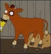 Ce taureau est appel&eacute;...