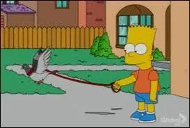 Dans quelle saison voit-on Ray ?