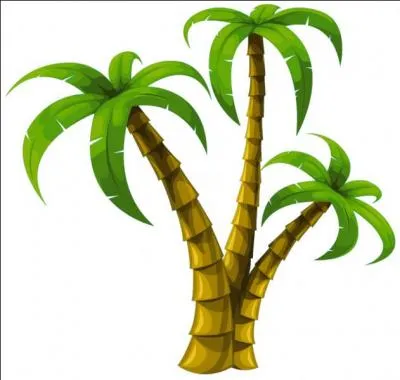 Sur l'écran d'accueil, y a-t-il des bananiers ?