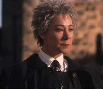 Quel balai, considéré comme le meilleur de son époque, dont la production s'est arrêtée, le professeur de vol évoque-t-il ?