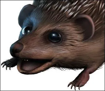 Avec quelle autre créature le Knarl (noueux) est-il confondu par les Moldus ?