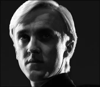 HP2, chapitre 13. Comment fait Harry pour récupérer le journal intime des mains de Drago ?