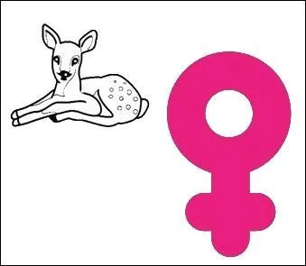 Trouver le onzième membre de l'équipage fantastique grâce au rébus suivant.