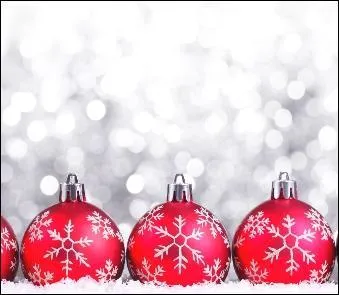 (HP5) Quel personnage Harry, Ron et Hermione revoient-ils pendant leurs vacances de Noël dans le livre (ce qui est passé sous le silence dans le film) ?