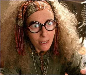 Sybille Trelawney avait :