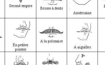 Quiz Etres humains