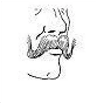 Assez impressionnante ! Ce modèle avait apparemment ses adeptes, qui étaient-ils ?