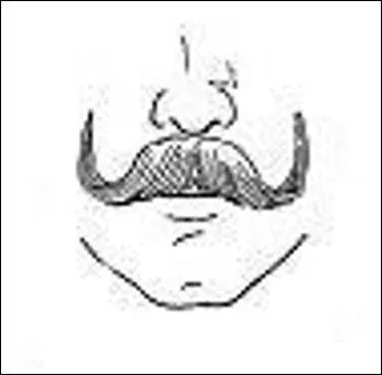 Faisons appel à votre culture historico-pileuse pour découvrir celle-ci, germanique en diable. Qui la portait ?