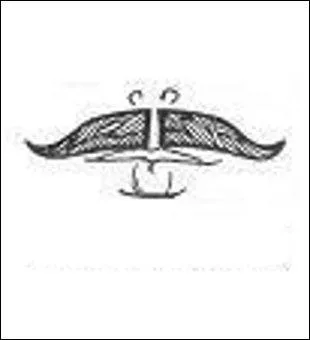 Chopin n'en portait pas, mais sous sa plume a poussé au moins un(e) ----- (Complétez ! )