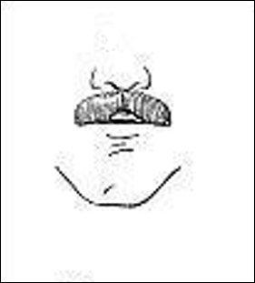 Au royaume du poil, les moustachus sont des petits princes ! Voici une taille assez classique, utile comme ramasse-miettes, laquelle ?