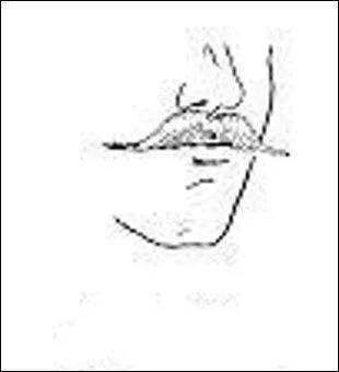 Cette autre est véritablement du cousu-main. Comment la nomme-t-on ?