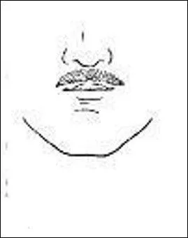 Celle-ci, tel le homard, a beaucoup voyagé ! Est-ce vrai ?