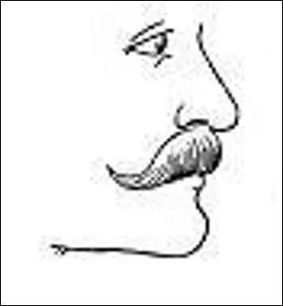 Plus proche de nous, géographiquement tout du moins, elle ne manque pas de flegme. Quelle est cette coupe, royale, la crème des crèmes ?