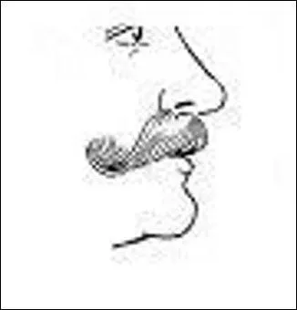 Assez proche de la précédente, mais beaucoup moins civilisée (on dirait un peu celle de Staline ! ), c'est la ----- (complétez ! )