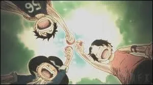Qui sont les frères de Luffy ?