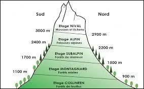 À quelle question la réponse « L'ubac. » correspond-elle ? (voir photo)