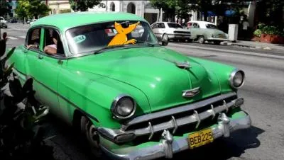 C'est dans un taxi de Cuba que nous retrouvons la bête. Il profite du beau temps dans les rues de la capitale qui est :