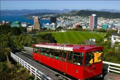 Quoi de mieux qu'une petite balade en funiculaire pour admirer la capitale néo-zélandaise ? Le caméléon prend donc de la hauteur et poursuit son voyage à :