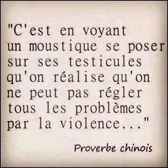 De ces trois animaux, il est celui qui a les plus gros testicules du monde par rapport à sa taille !