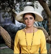 Dans ce film Richard Burton quitte son pouse pour vivre avec cette artiste bohme que joue Elisabeth, quel est ce film ?