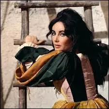 Dans ce film qui se passe en Italie, elle est Catharina et partage aussi l'affiche avec Richard Burton qui joue Petruchio, quel est ce film ?