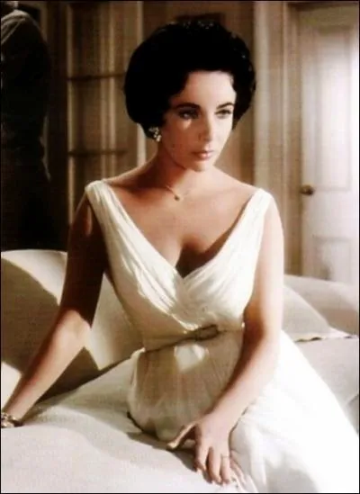 Dans ce film, tir d'une nouvelle de Tennessee Williams, elle a pour poux Paul Newman qui manque d'empressement  son gard, quel est ce film ?