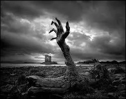 De quoi les hommes meurent-ils ?