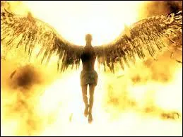 Quelle est la seule chose à faire si on veut atteindre le ciel ?