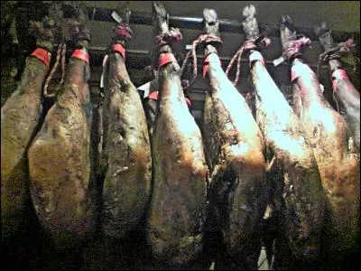 Du côté espagnol, ça se corse ! Trois qualités sont possibles pour chaque appellation : "de cebo, de recebo" (gavage et regavage) et "de bellotas" : c'est-à-dire ?