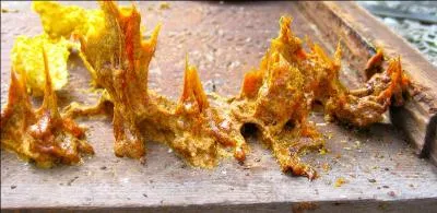 Qui fabrique ce produit miracle ?