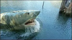 Quel est le titre de ce film ?