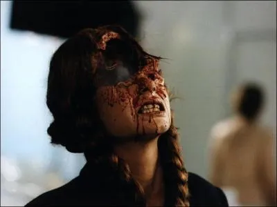 Quel est le titre de ce film ?